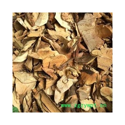 小丽百草行全根 白背桐根 白背根 白朴树 白泡树 白面简