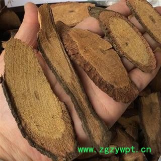 小丽百草行钻地风 桐叶藤 利筋藤 铜皮铁 铁钻图2