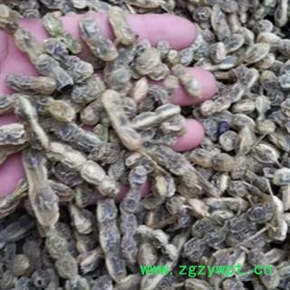 安祁名药优质选货槐角 槐实 槐角豆 制槐角图3