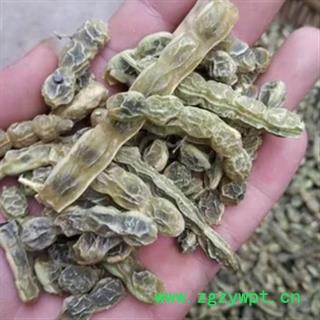 安祁名药优质选货槐角 槐实 槐角豆 制槐角图2