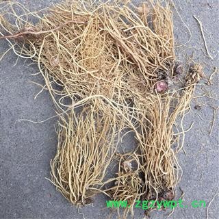 水洗细辛段无土无石子 茗生春药材总公司 一手货源  7天无理由退换图3