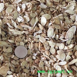 黄芪 通装斜片 产地 甘肃省  茗生春药材总公司 一手货源 7天无理由退换图2