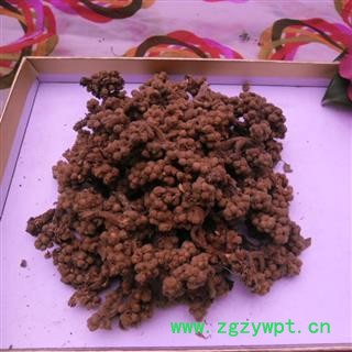 枇杷花 精品货 产地 四川省成都市双流县图2