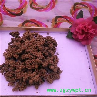 枇杷花 精品货 产地 四川省成都市双流县图3