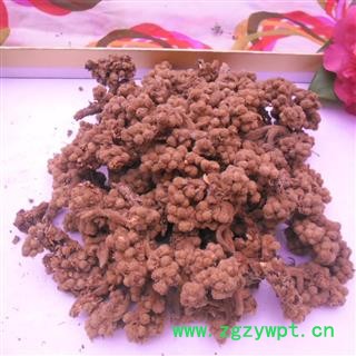 枇杷花 精品货 产地 四川省成都市双流县图4