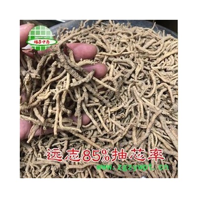 远志 远志85%抽芯率 产地 山西省 买好药找娟子
