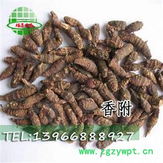 香附 统货 产地 广西壮族自治区 买好药找娟子图2