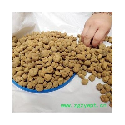 元胡 元胡索  延胡索   统货 产地 浙江省衢州市柯城区 买好药找娟子