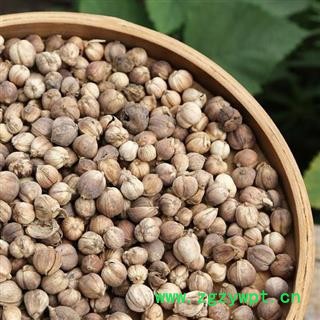 白豆蔻 秦岭白扣 白蔻仁 手工采摘 过筛分拣 日晒干净250g图4