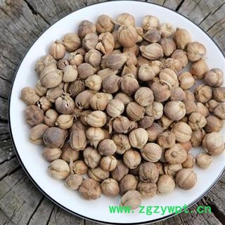 白豆蔻 秦岭白扣 白蔻仁 手工采摘 过筛分拣 日晒干净250g图3