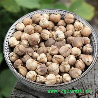 白豆蔻 秦岭白扣 白蔻仁 手工采摘 过筛分拣 日晒干净250g图2