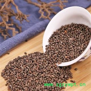 【新货】秦岭天然紫苏子手工捋子日晒干净500g另有莱菔子白芥子图2