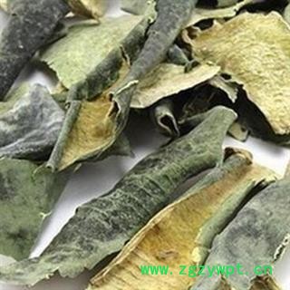 冬瓜皮 青统 产地 河北省安国市场批发零售大全图2