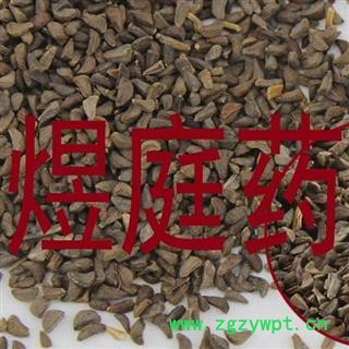 煜庭药业 骆驼篷子 正品图2