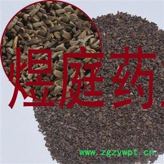 煜庭药业 骆驼篷子 正品图4