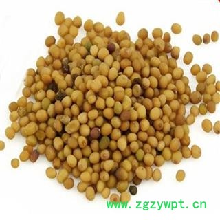 煜庭药业 白芥子图4