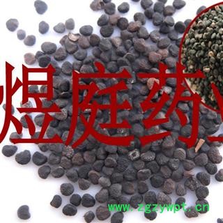煜庭药业 曼陀罗子 曼陀罗籽 天茄子 凤茄果 曼茶罗 醉心花 狗核桃 正品图3