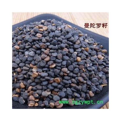 煜庭药业 曼陀罗子 曼陀罗籽 天茄子 凤茄果 曼茶罗 醉心花 狗核桃 正品