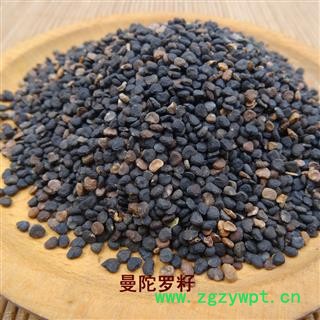 煜庭药业 曼陀罗子 曼陀罗籽 天茄子 凤茄果 曼茶罗 醉心花 狗核桃 正品图2