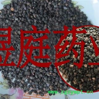 煜庭药业 曼陀罗子 曼陀罗籽 天茄子 凤茄果 曼茶罗 醉心花 狗核桃 正品图4