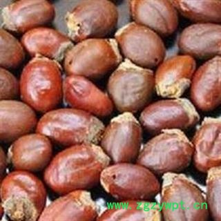 煜庭药业 荔枝核 返现进行中图2