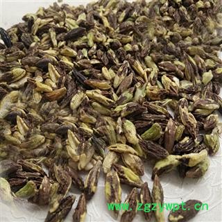 煜庭药业 使君子 使君子肉 使君子仁 正品图4