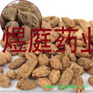 煜庭药业砂仁 壳砂 正品图4
