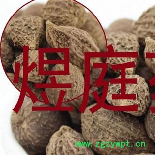 煜庭药业砂仁 壳砂 正品图3