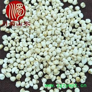 尖贝母选货散装1公斤起批产地直供小平贝母川蜀山农中药材批发图4