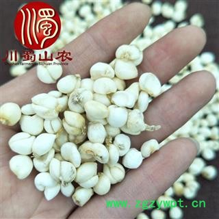 尖贝母选货散装1公斤起批产地直供小平贝母川蜀山农中药材批发图2