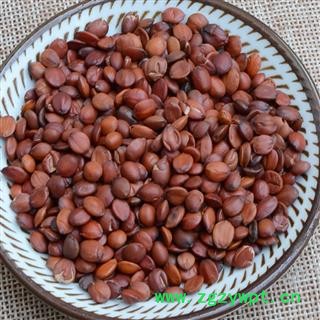 煜庭药业 进口枣仁 酸枣仁 炒枣仁  进口图3