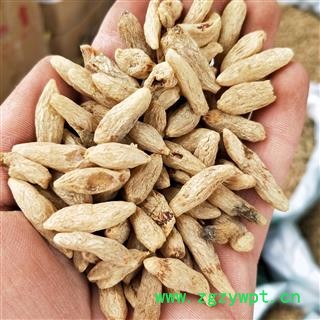 麦冬 川麦冬统装无硫 产地 四川省绵阳市图2