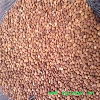 煜庭药业 郁李仁图3