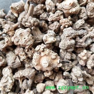 珠儿参 珠儿参下料可打粉 产地 陕西省图2