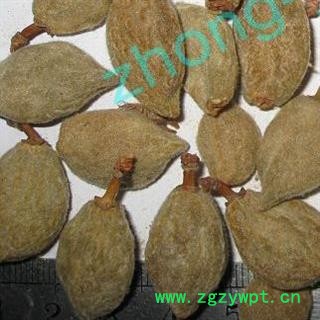 煜庭药业 樱桃核 碧桃干 樱桃子图2