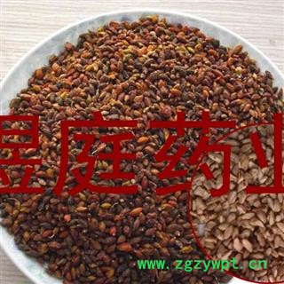 煜庭药业 石榴籽 石榴子 正品图3