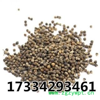 蔓荆子 万荆子 蔓青子 白背木耳 小刀豆藤 白背风 白背草 白背杨 水捻子 白布荆  中药材图2