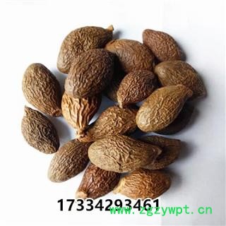 中药材胖大海 胖大海茶 泡水胖大海 胖大海图2