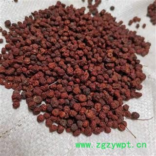 瑞森药材行 火棘 火把果 救军粮 救兵粮 救命粮 赤阳子 红子 豆金娘 水搓子图3