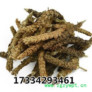 中药材夏枯草 夏枯球 白花草 棒槌草 新货夏枯球图2