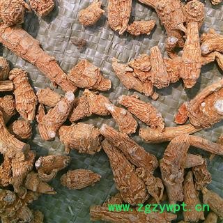 三七 三七三年生水洗无数头 产地 云南省图2