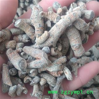 三七 20到60头三七断条 产地 云南省文山壮族苗族自治州图2