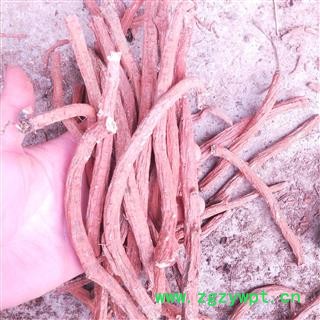 丹参个红丹参紫丹参 山西万荣县高含量选装丹参 产地 山西省运城市万荣县图2