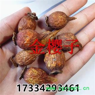 中药材 金樱子 刺榆子 金英子 山石榴 刺梨子泡酒图2