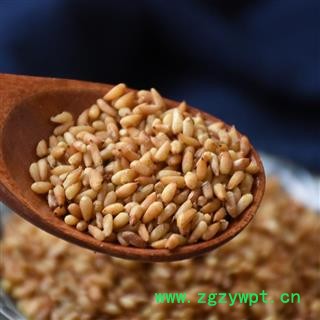 瑞森药材行 中药材 柏子仁 柏实 柏仁 侧柏子图3