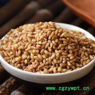 瑞森药材行 中药材 柏子仁 柏实 柏仁 侧柏子图2