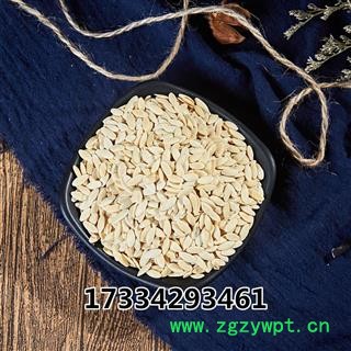 中药材黄瓜子黄瓜籽黄瓜子种子过色选干净无杂无空皮图2