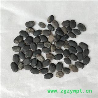 瑞森药材行中药材生丝瓜子 丝瓜籽 乌牛子图2