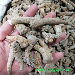 三七个 冬七80头 产地 云南省文山壮族苗族自治州图2