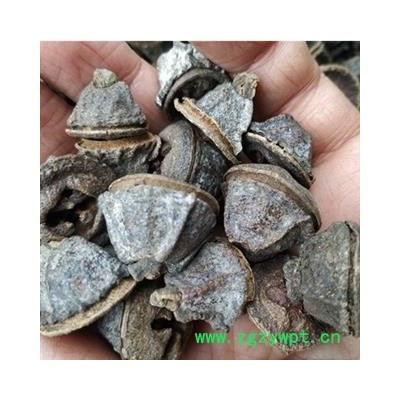 诺源药材行中药材一口钟 一口盅